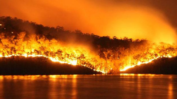 QLD Bushfires ~ Charity Event