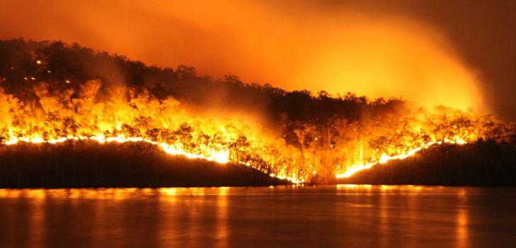 QLD Bushfires ~ Charity Event