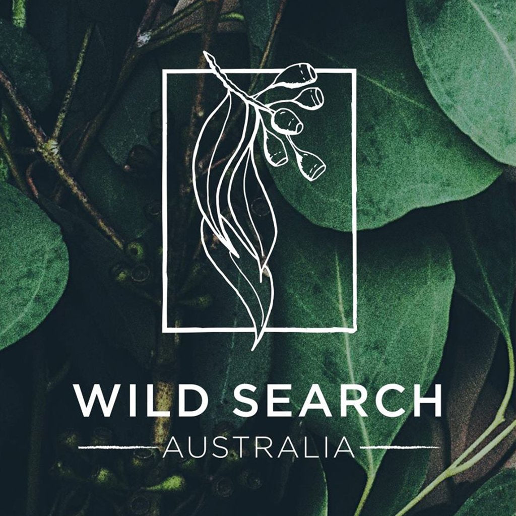 Trader Tribe ~ Wild Search