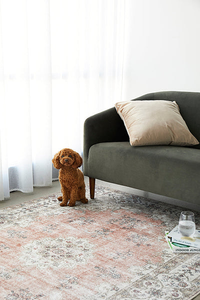 Outdoor/Washable Rugs