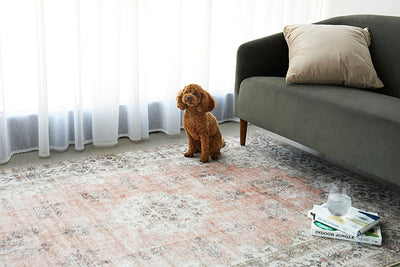Outdoor/Washable Rugs